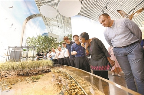UN environment officials laud Hangzhou's green development