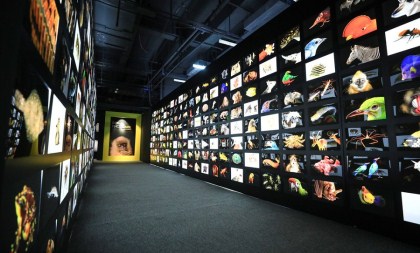 National Geographic exhibition comes to Hangzhou