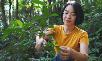 Hangzhou girl turns nature into art
