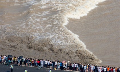 Turbulent Qiantang River tide amazes crowds
