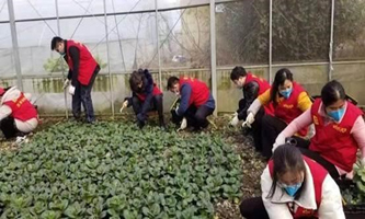 Hangzhou volunteers act as temporary employees for companies