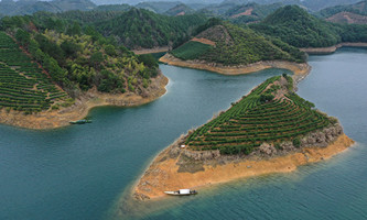 Lake near Hangzhou sees uptick in visitors