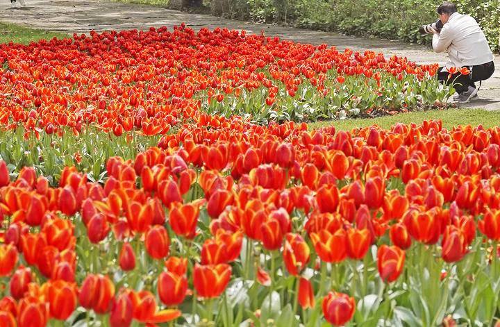 Hangzhou Xixi wetland park holds flower festival