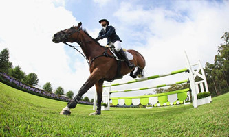 Venue for equestrian events to start construction