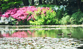 Hangzhou Botanical Garden