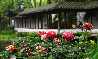 West Lake Seasonal Flower Guide