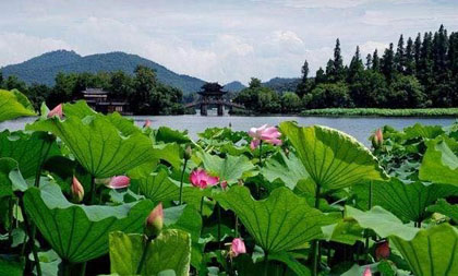 Hangzhou receives 1.26m tourists during Dragon Boat Festival