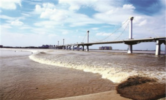 Hangzhou Digital Creative Design Contest kicks off