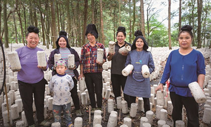 Mushrooms help Guizhou residents lead new lives free of poverty