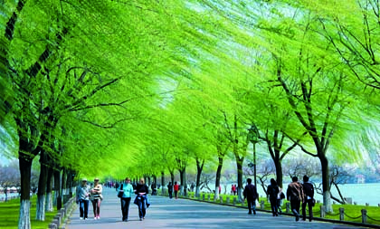 Picturesque Hangzhou