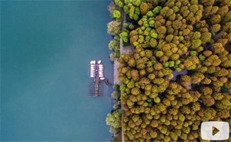West Lake in Four Seasons