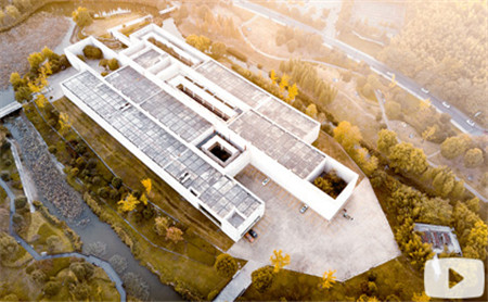 Hangzhou Eye episode 7: How millennium-old cultural treasures become 'alive' online