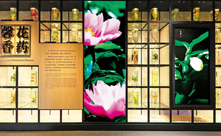Zhejiang Chinese Medicine Museum