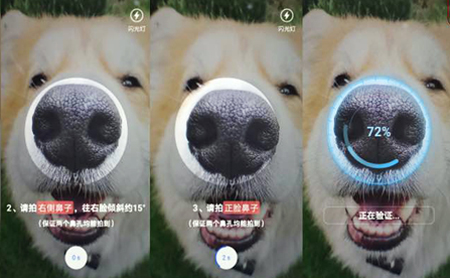 Hangzhou pilots pet noseprint recognition technology