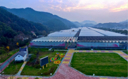 Yangcunqiao strawberry town