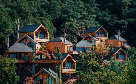 American architect spotlights whimsical tree house resort