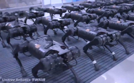 Hangzhou robots impress the world