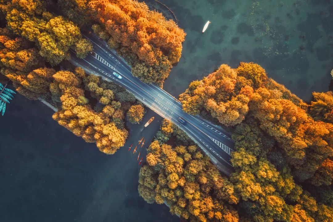 Catch the fleeting autumn in Hangzhou