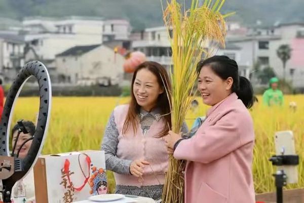 Chun'an rice sales surge following livestreaming shows