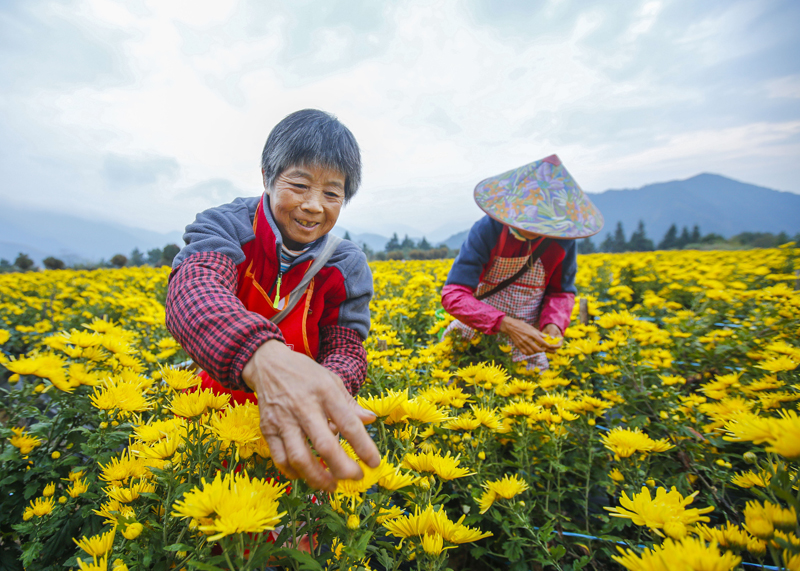 Get a glimpse of Hangzhou's autumn in photos