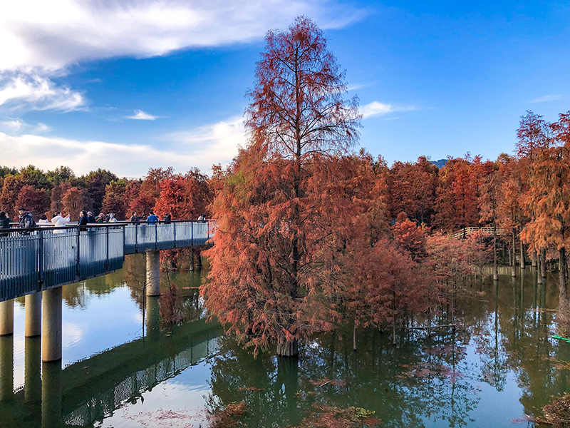 Picturesque Hangzhou in early winter