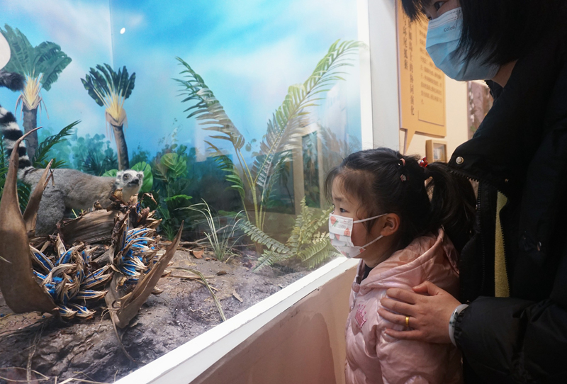 Explore the legends of seeds in Hangzhou