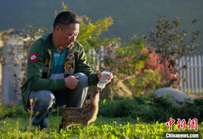 Ranger devotes himself to capturing magnificent wildlife photos