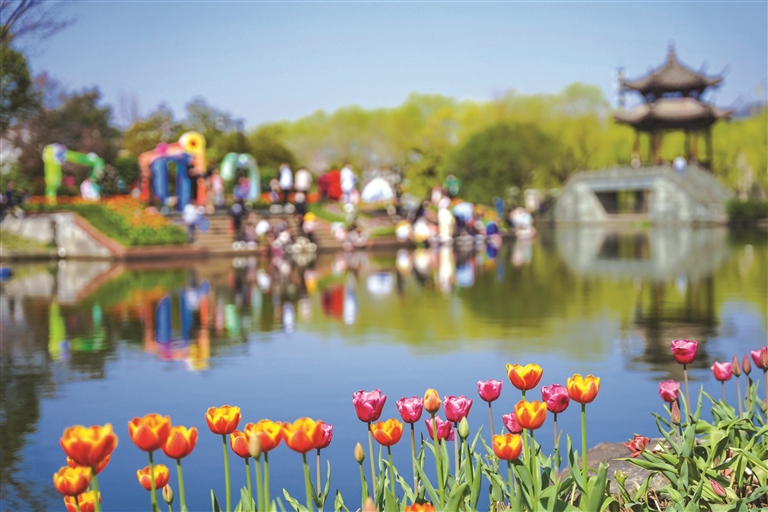 In photos: Spring scenery brings Hangzhou back to life