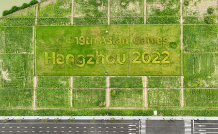 Lawns near Asian Games Village take on festive look