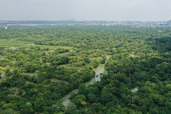 Guardians of the 'kidneys of earth' write stories of harmonious coexistence between man and nature