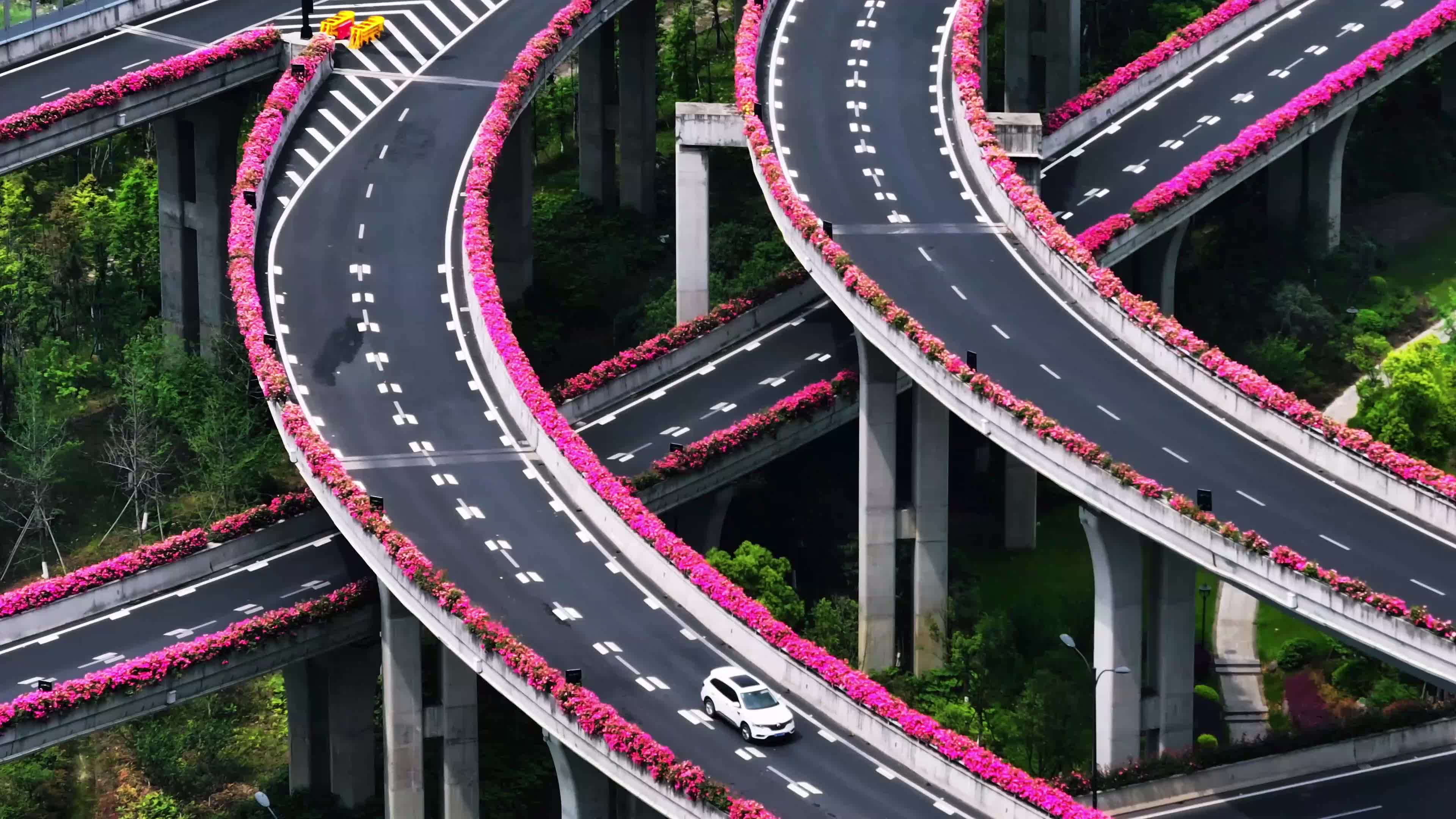 Flowering over viaducts