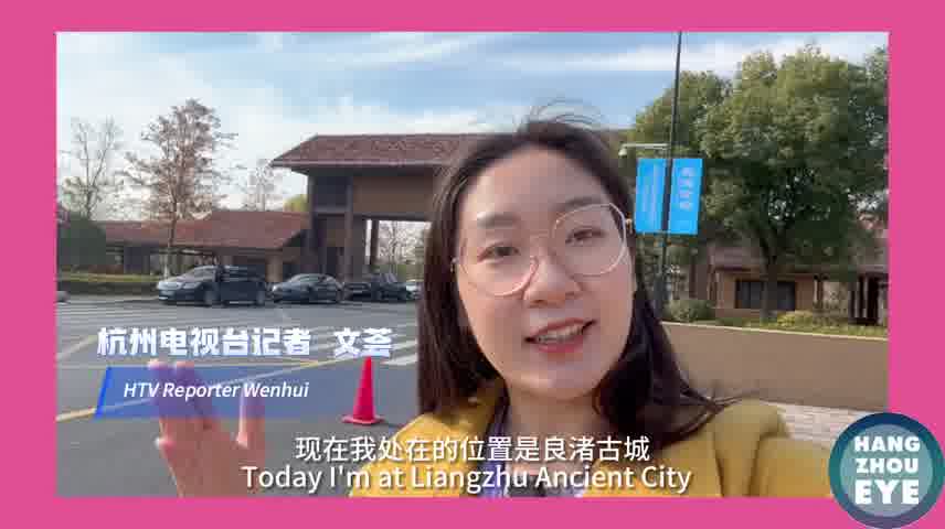 A personal 'Liangzhu Forum' diary