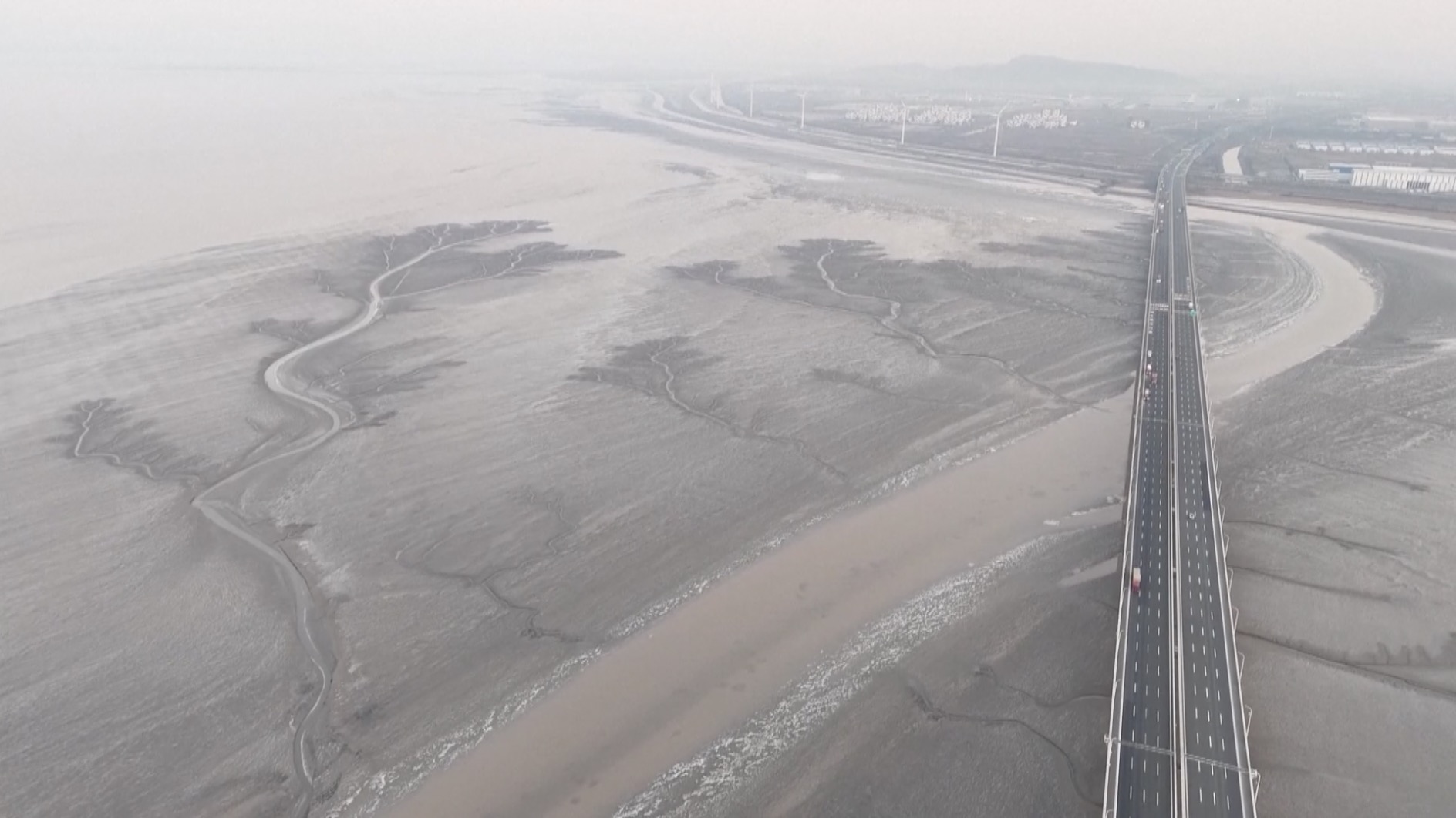 Tree-shaped patterns appear on frozen Qiantang River