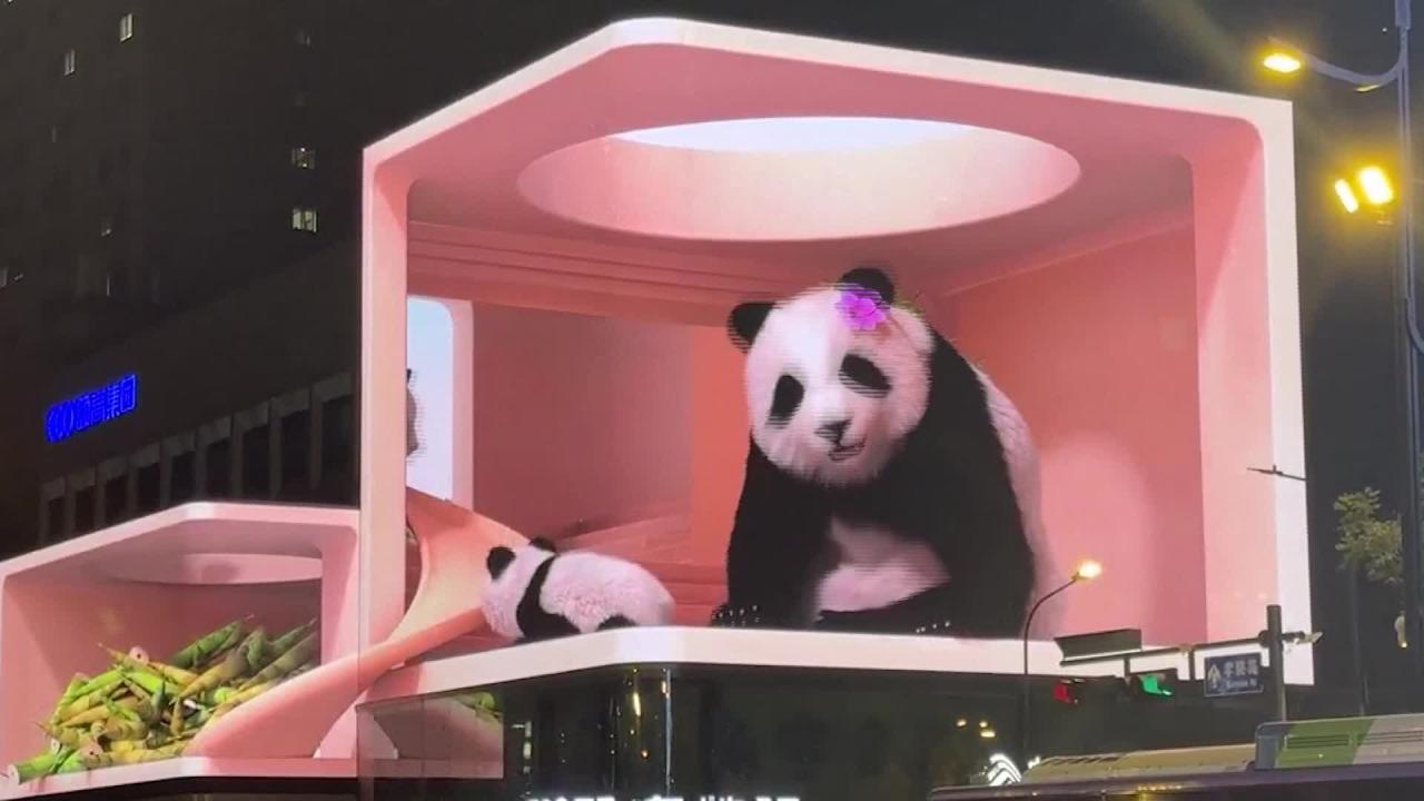 Hangzhou unveils lifelike 3D giant pandas in outdoor display