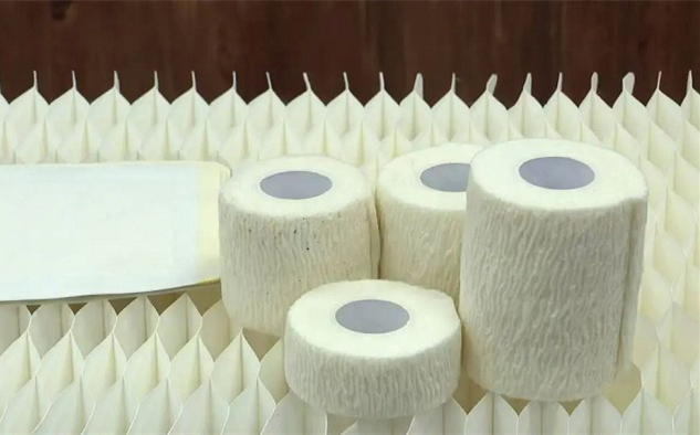 Hangzhou leads innovation in silk-based medical materials