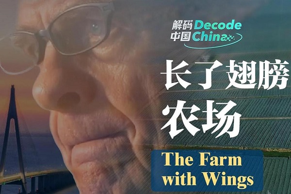 Decode China: The farm with wings