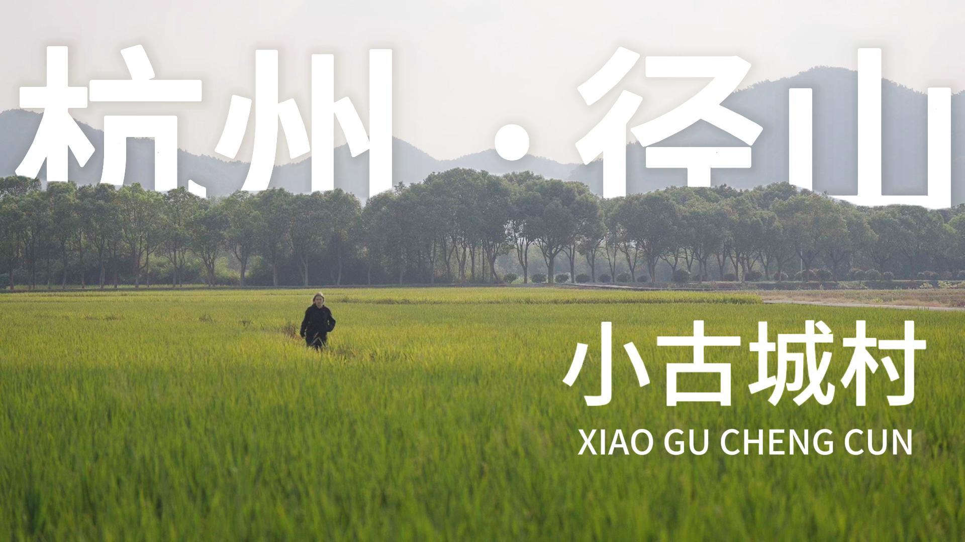 Experience Xiaogucheng village, a model of common prosperity
