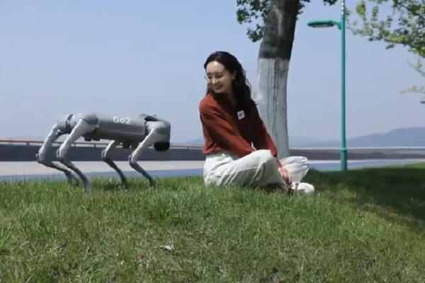 The future is here: Meet Unitree's intelligent robots