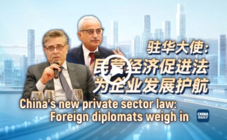 China's new private sector law: Foreign diplomats weigh in