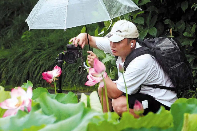 Twin lotus flowers at West Lake in Hangzhou
