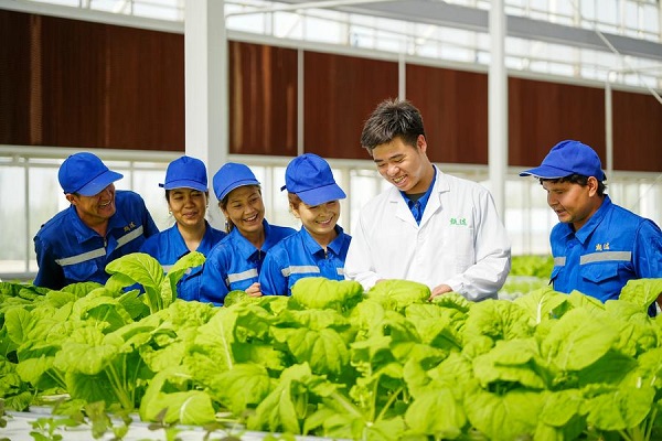 Paired assistance transforms desert-edge village in NW China's Xinjiang