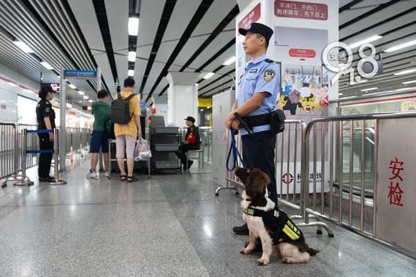 Adorable police dog Xingchen wins hearts in Hangzhou metro