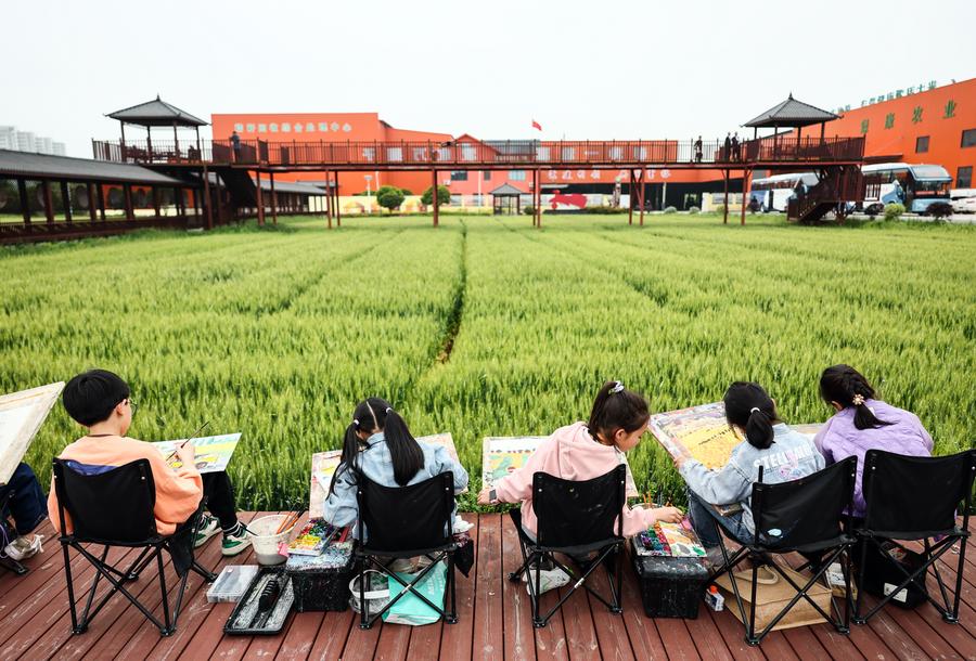 Study tour boom fuels China's countryside revival