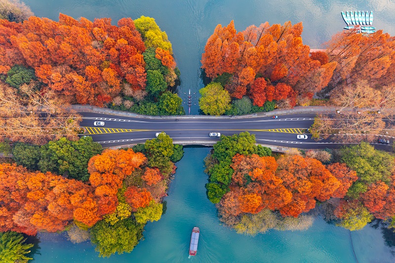 Strategy defines growth trajectory