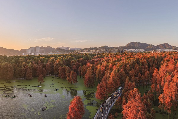Waterlogged forest dressed in colorful 'outfit' in Hangzhou