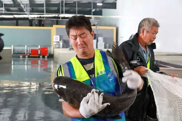 Fish farming moves ashore as Qiandao Lake embraces smart aquaculture