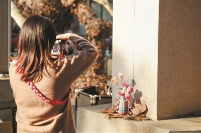 Leaf-inspired artworks light up Nanshan Road