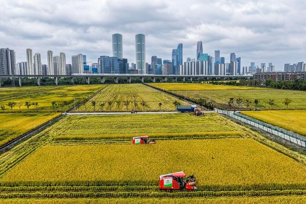 China makes steady gains in ecological conservation and green transition