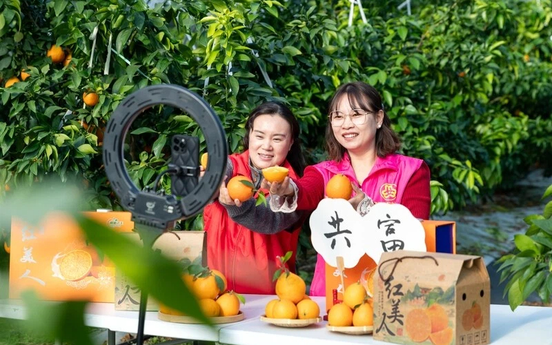 Zhejiang begins Year of the Horse with push for common prosperity