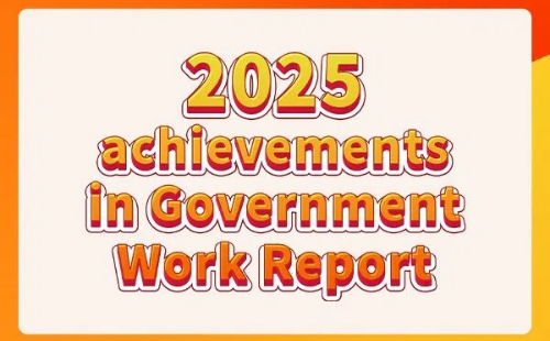 2025 achievements in Government Work Report